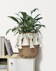 Boho-Einrichtung für kleine Räume: Gemütlich & luftig zugleich